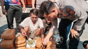 Pengintaian Berujung Penindakan, Sat Intelkam Polres Aceh Tenggara Sita 50,7 Kg Ganja di Ketambe