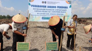 Kanwil Ditjenpas Sumut Tancap Gas Dukung Ketahanan Pangan Nasional, Tanam Jagung Perdana di Lahan Air Joman