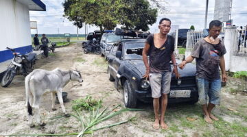 Masyarakat Hubungi 110, Polsek Dolok Batu Nanggar dan Unit Jatanras Polres Simalungun Sigap Bekuk Dua Pencuri Anak Lembu yang Kabur Pakai Mobil Sedan