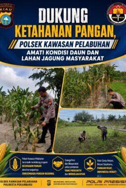 berita-rekomendasi-foto